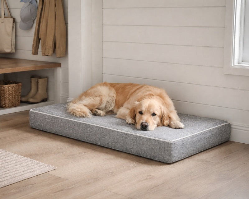 Bowsers Isotonic Memory Foam Dog Crate Mattress - Pressure-Relieving Crate Support