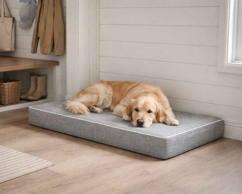 Bowsers Isotonic Memory Foam Dog Crate Mattress – Pressure-Relieving Crate Support