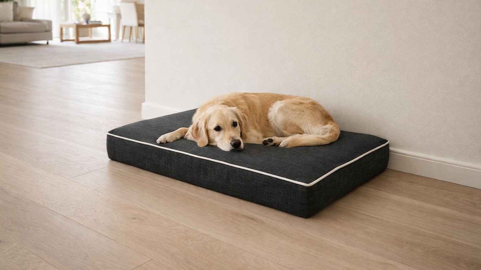Bowsers Isotonic Memory Foam Dog Crate Mattress – Pressure-Relieving Crate Support