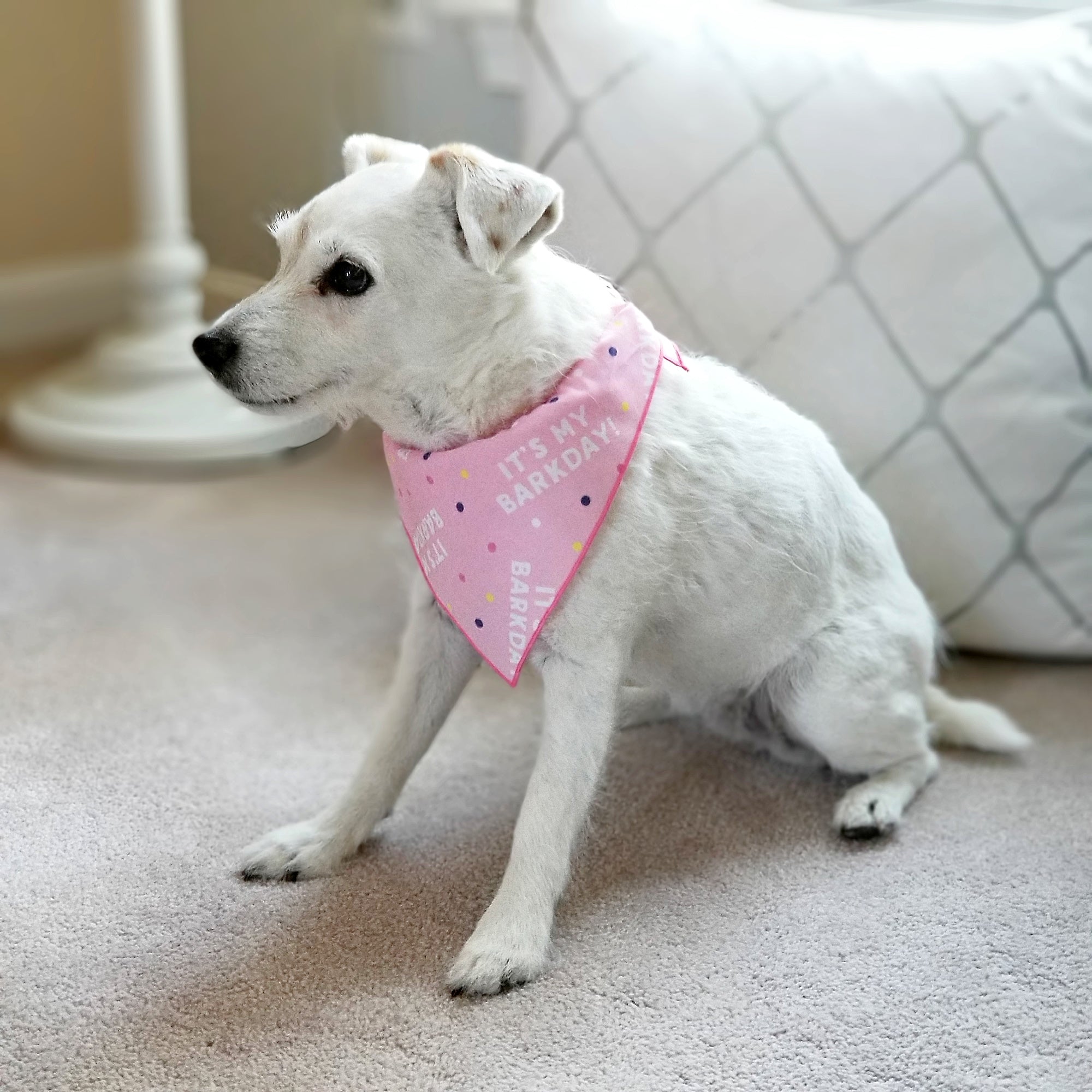 Its My Barkday Bandana