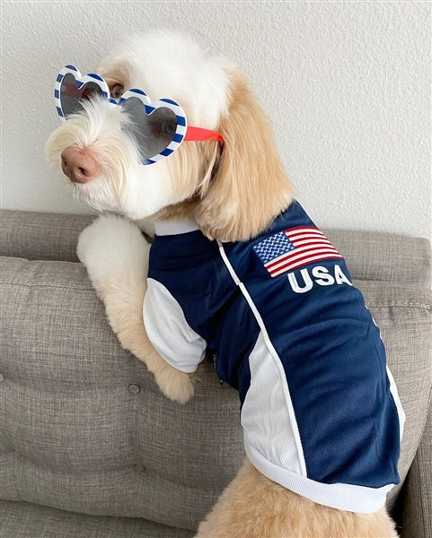 Parisian Pet Team USA Dog T-Shirt-Red, White, & Blue