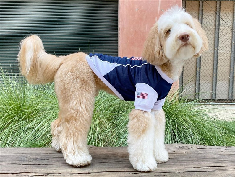 Parisian Pet Team USA Dog & Cat Shirt  Embroidered USA Jersey, Perfect for Sports and Vacations  Red, White, and Blue