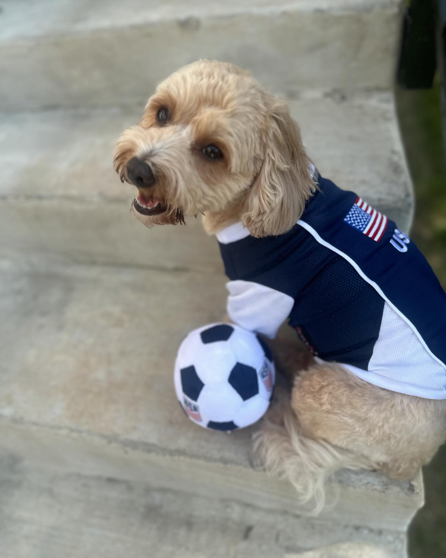 Parisian Pet Team USA Dog T-Shirt-Red, White, & Blue
