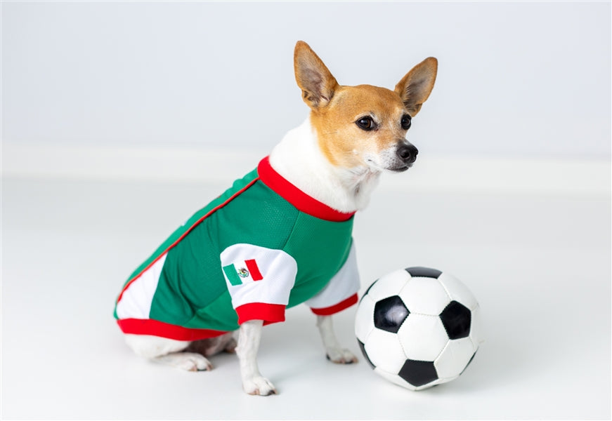 Parisian Pet Team Mexico Dog & Cat T-Shirt  Patriotic Dog Shirt, Perfect for Soccer Fans  Red, White, Green