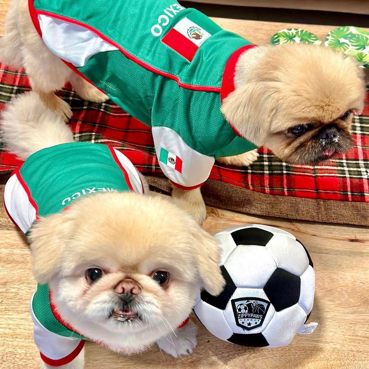 Parisian Pet Team Mexico Dog T-Shirt-Red, White, Green