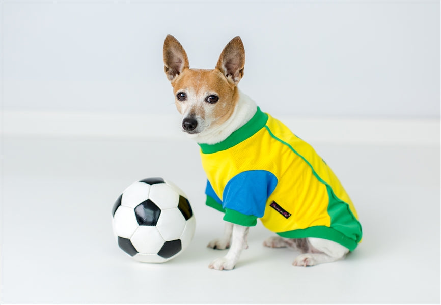 Parisian Pet Team Brazil Dog & Cat Shirt  Embroidered Soccer Jersey, Comfortable & Stylish  Yellow Green