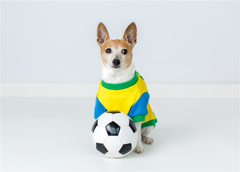 Parisian Pet Team Brazil Dog & Cat Shirt  Embroidered Soccer Jersey, Comfortable & Stylish  Yellow Green