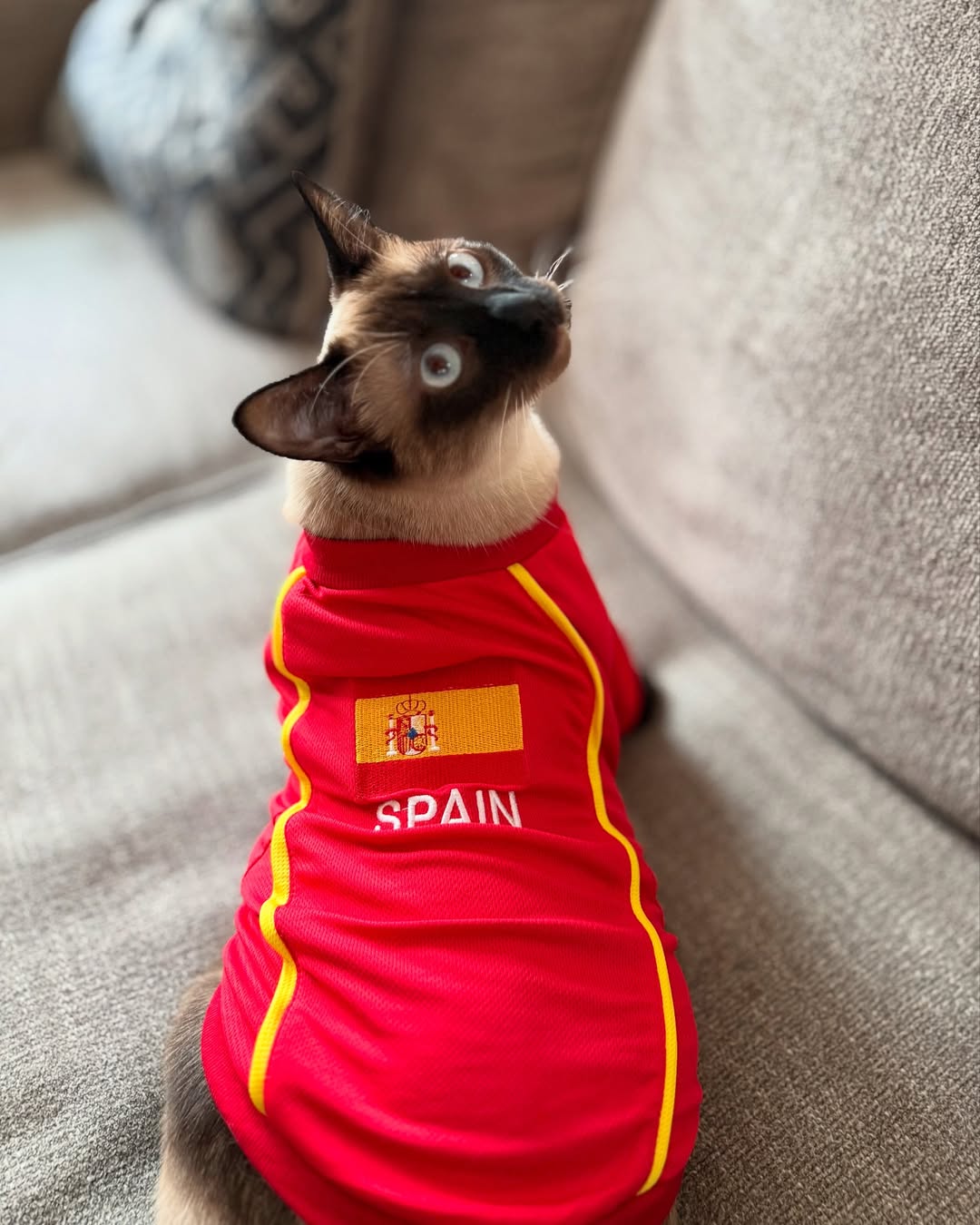 Parisian Pet Team Spain Jersey-Red & Yellow Stripes