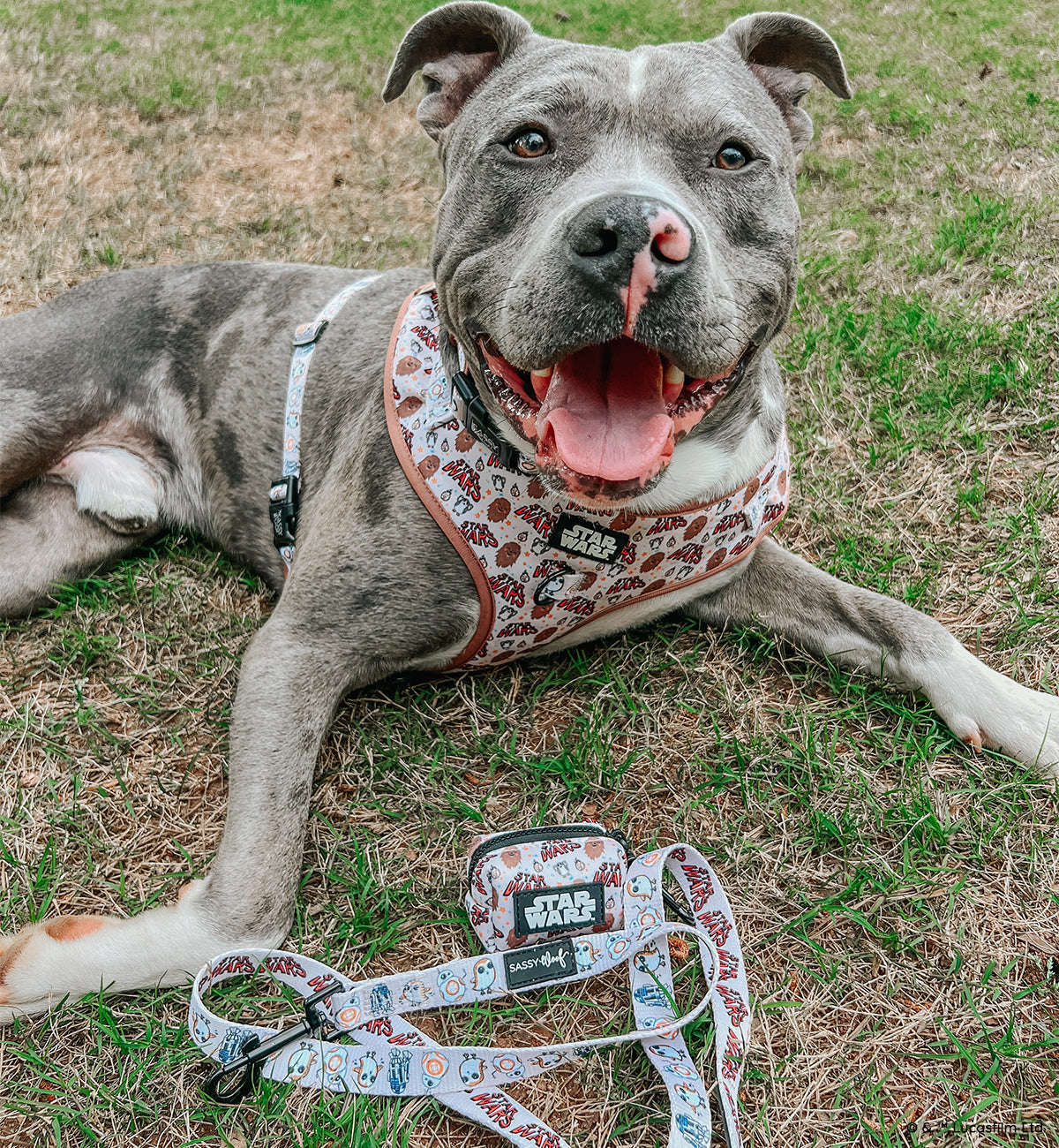 Dog Leash - STAR WARS™ The Rebel Alliance