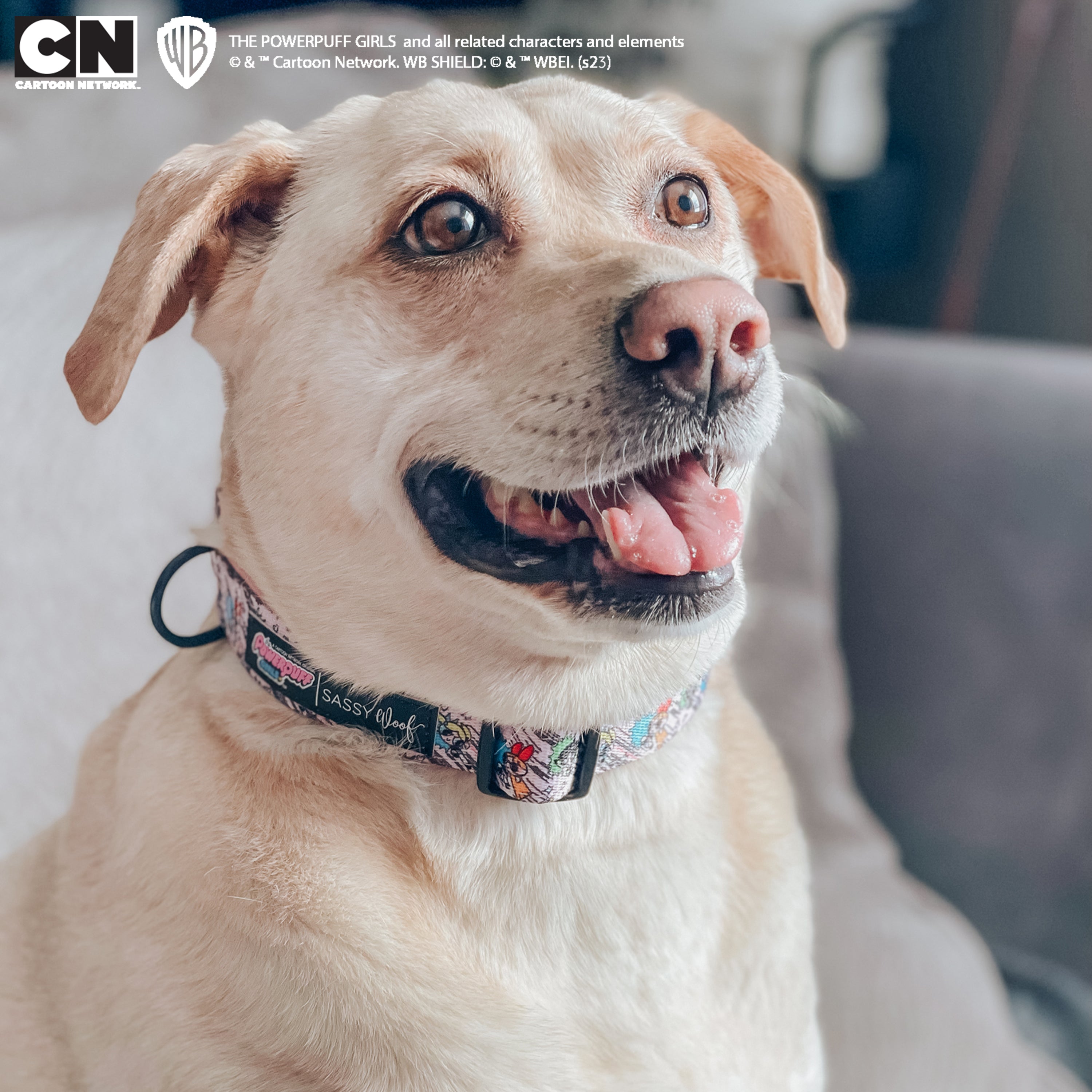 Dog Collar - The Powerpuff Girls™ (Pink)