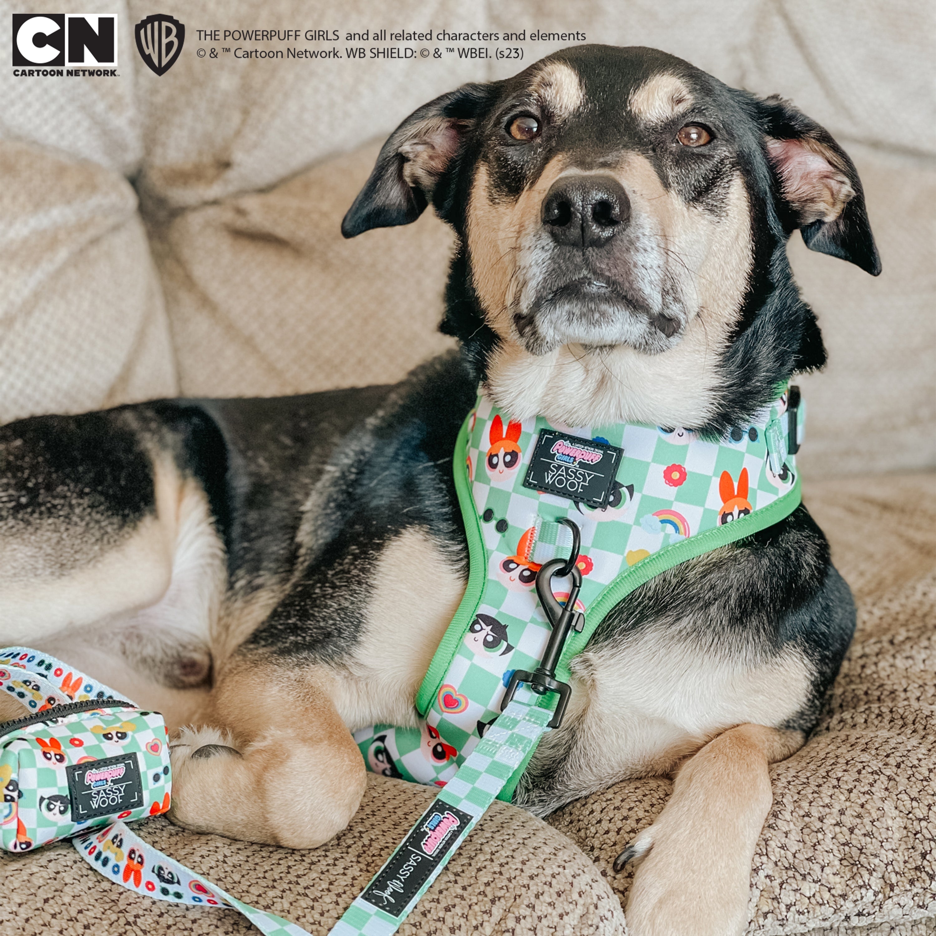 Dog Adjustable Harness - The Powerpuff Girls™ (Green)