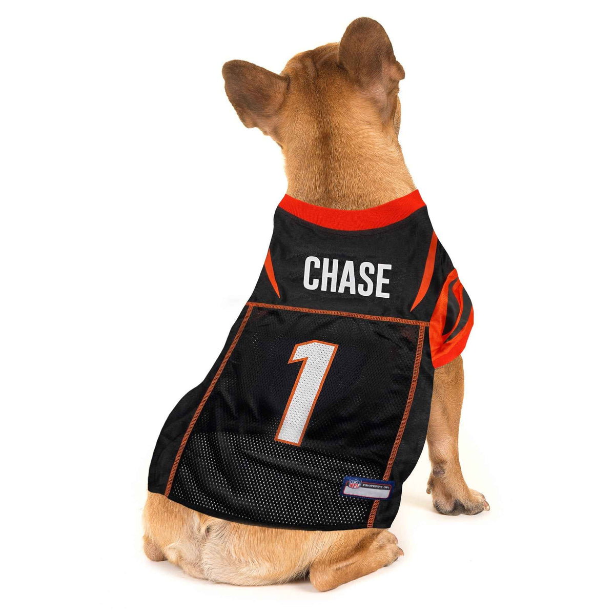 NFL Cincinnati Bengals JaMarr Chase Mesh Pet Jersey
