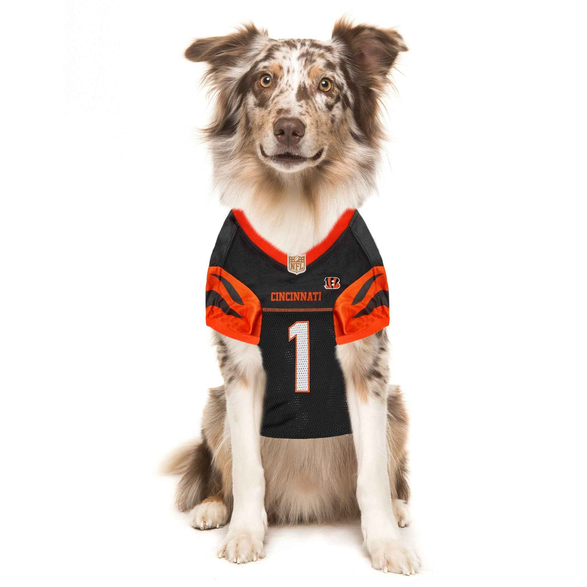 NFL Cincinnati Bengals JaMarr Chase Mesh Pet Jersey