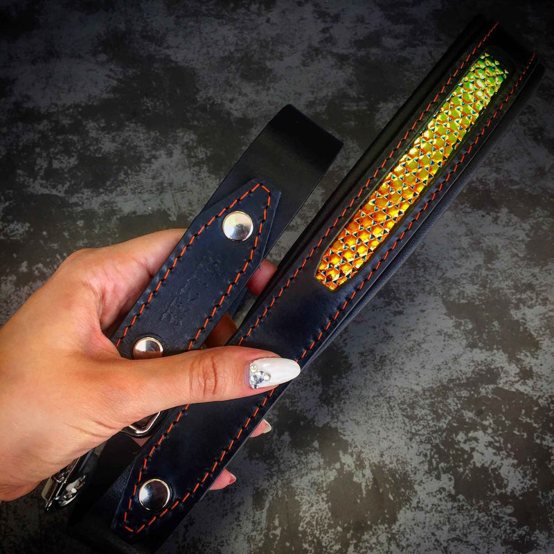 Bestia D'Albertis Leather Dog Leash