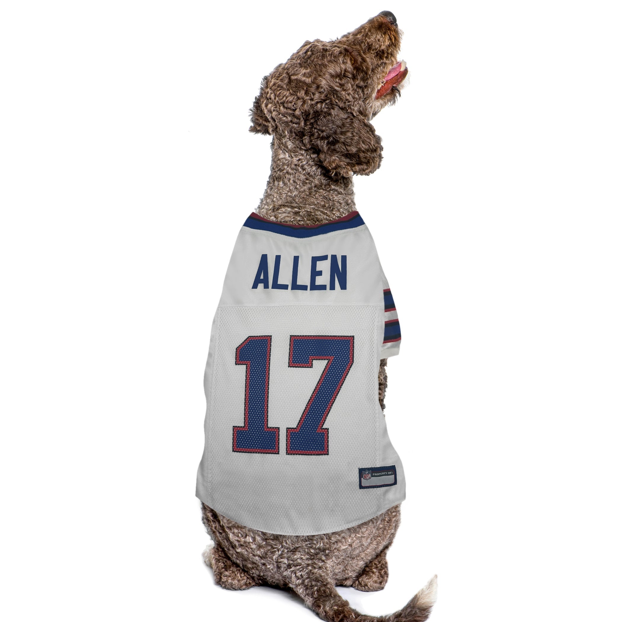 Josh Allen Pet Road Jersey (Buf)