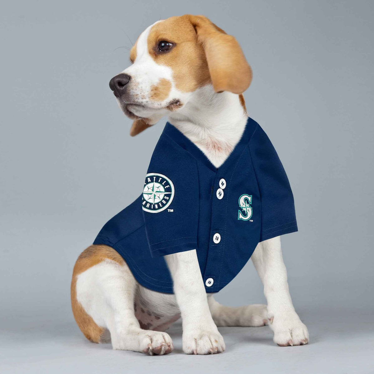 MLB Seattle Mariners Julio Rodriguez Mesh Pet Jersey