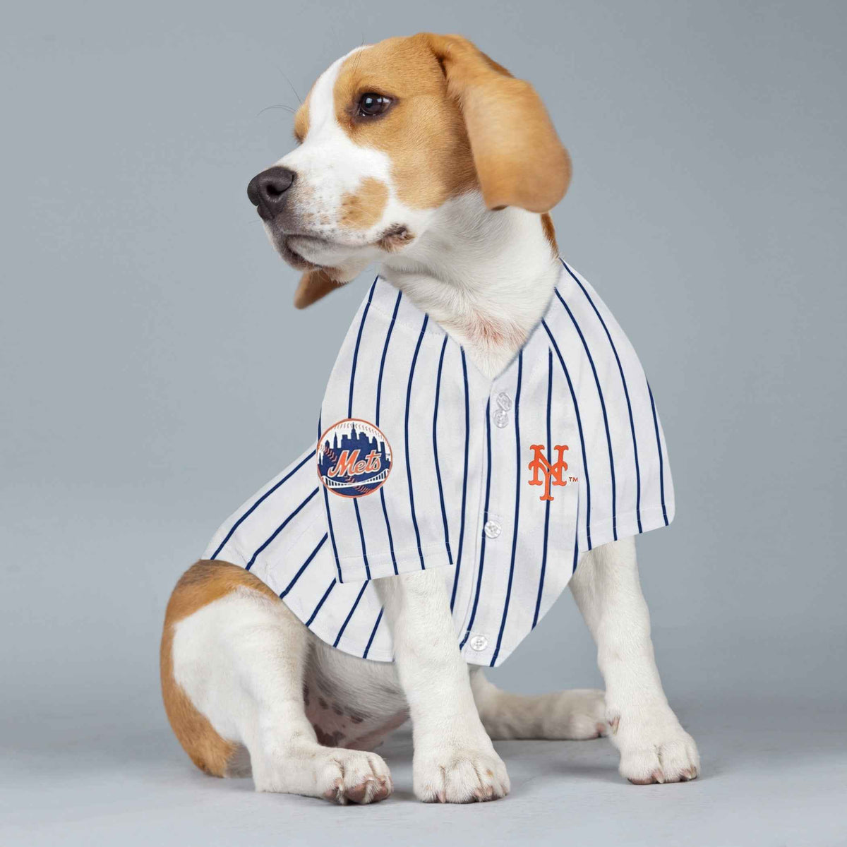 MLB New York Mets Juan Soto Mesh Pet Jersey