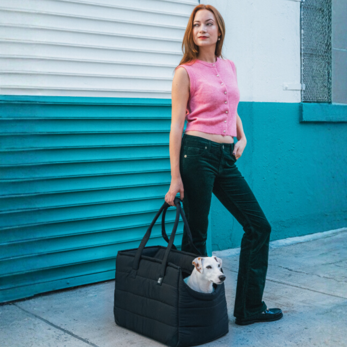 Subway Tote | HT Animal Supply