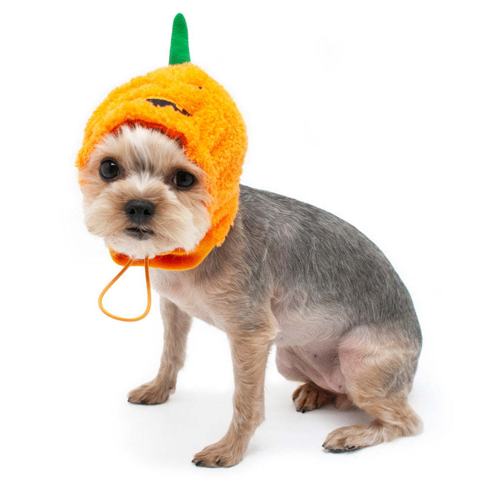 DOGO Jack-O Dog Costume Hat