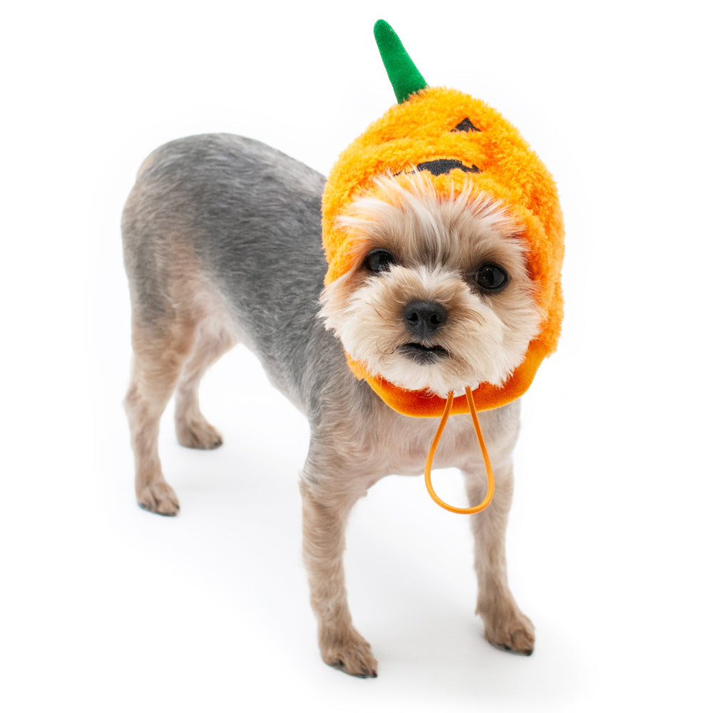 DOGO Jack-O Dog Costume Hat