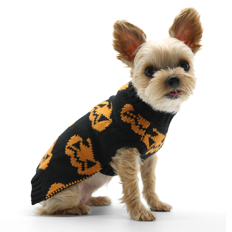 DOGO Jack O Lantern Dog Sweater