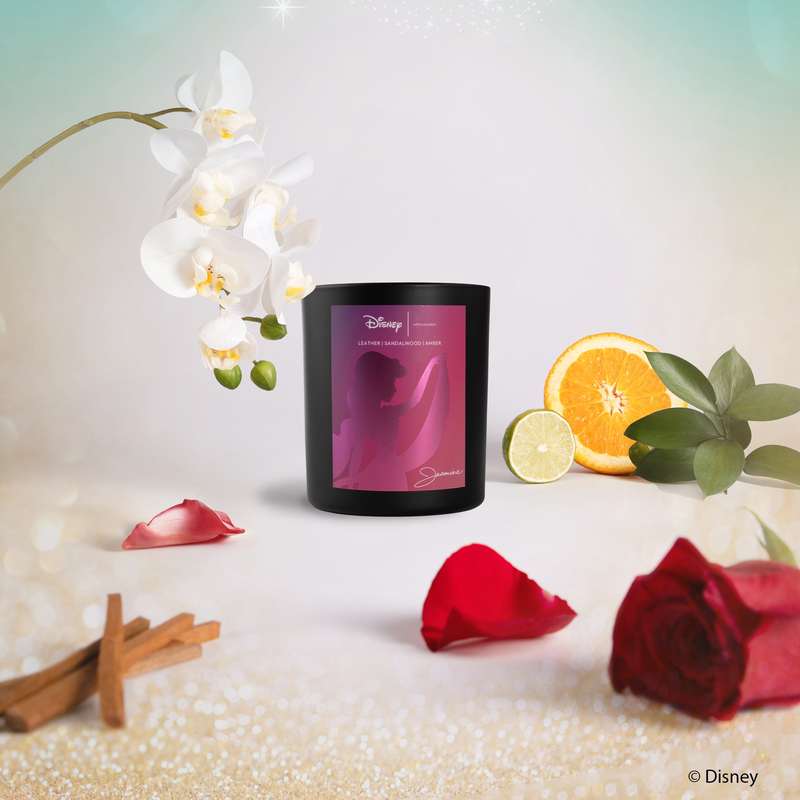 Disney My Way Candle - HT Animal Supply