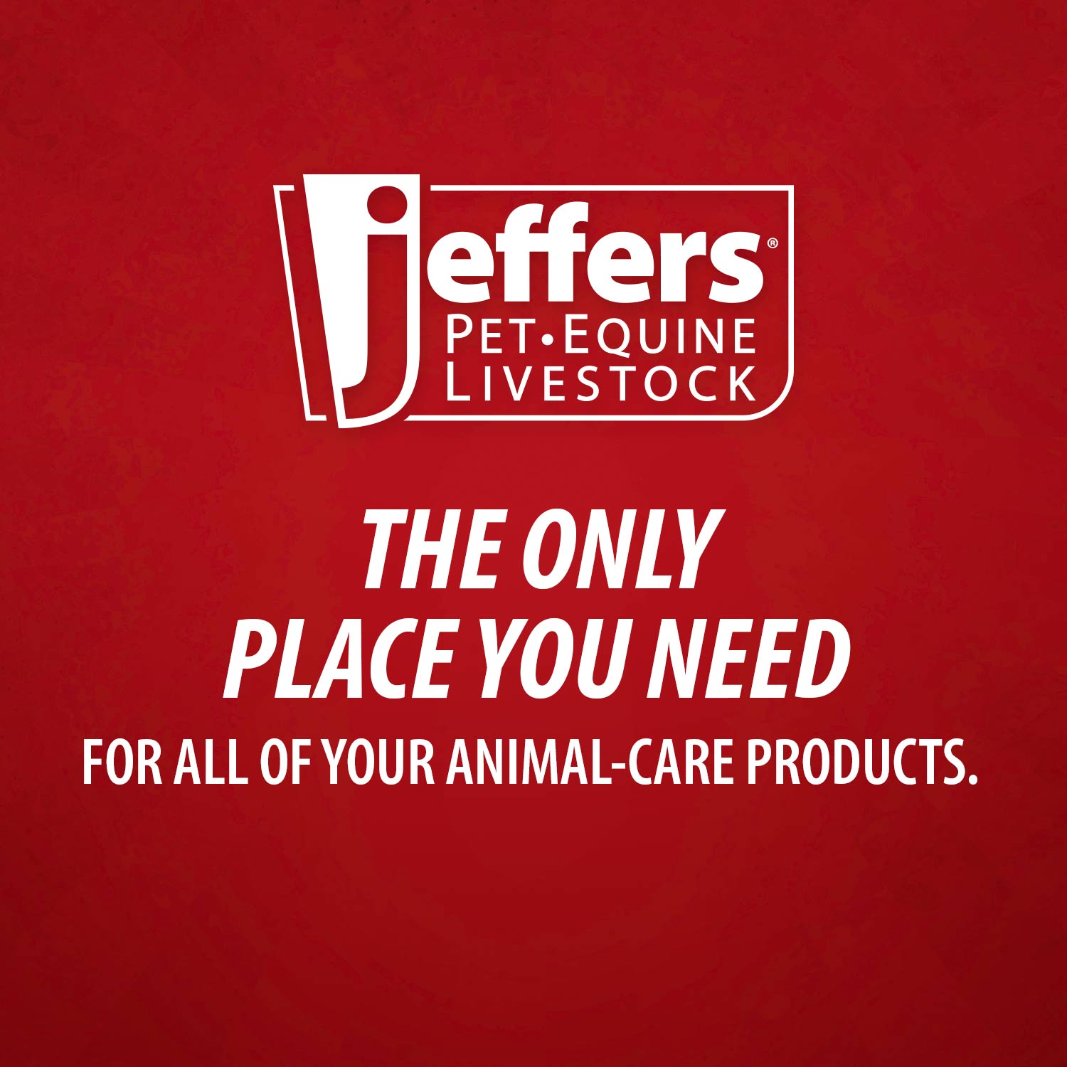 Jeffers Grooming Trim Kit #24412 - Professional Thinning Shears, Stripping Comb & Belt Case