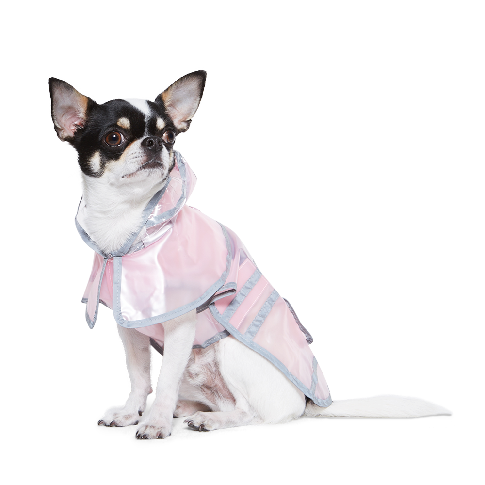 DOGO Jelly Dog Raincoat