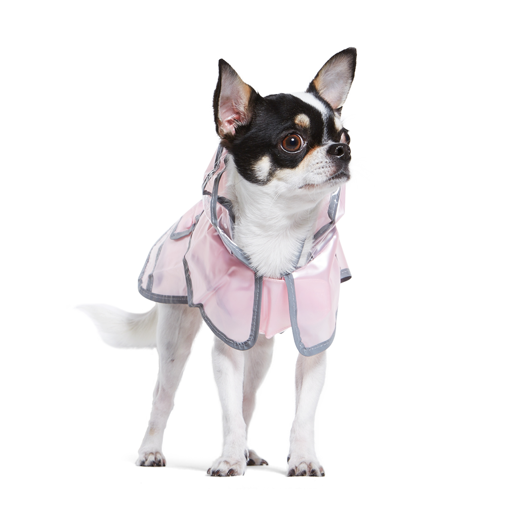 DOGO Jelly Dog Raincoat