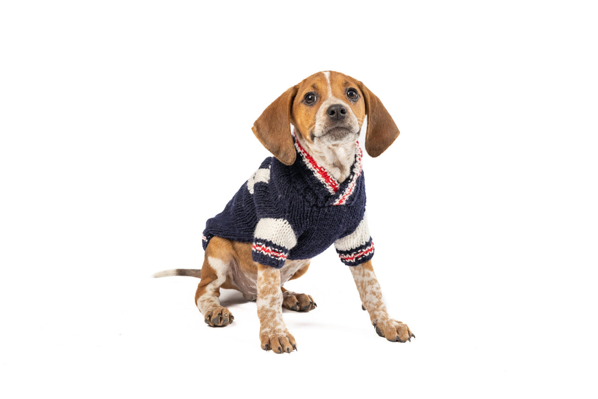 Chilly Dog Varsity Wool Dog Sweater