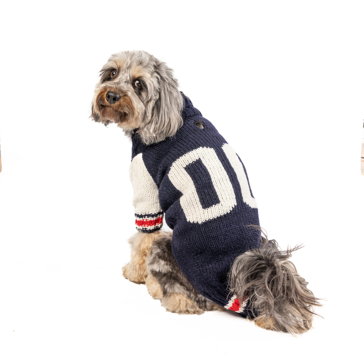 Chilly Dog Varsity Wool Dog Sweater