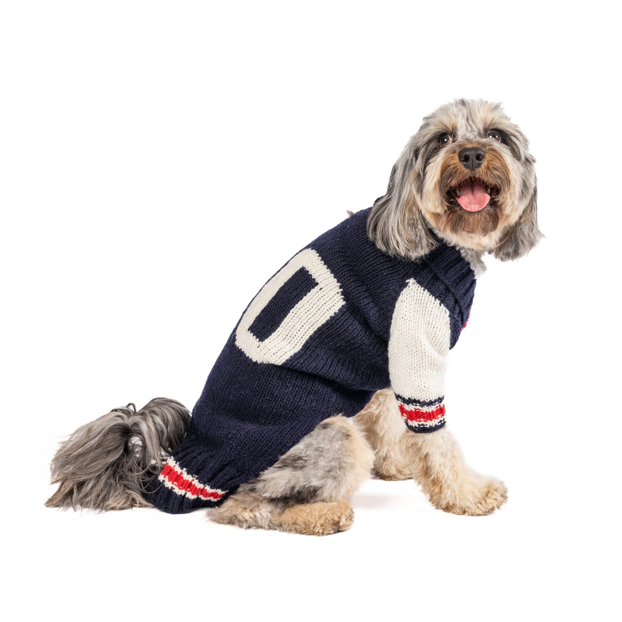 Chilly Dog Varsity Wool Dog Sweater