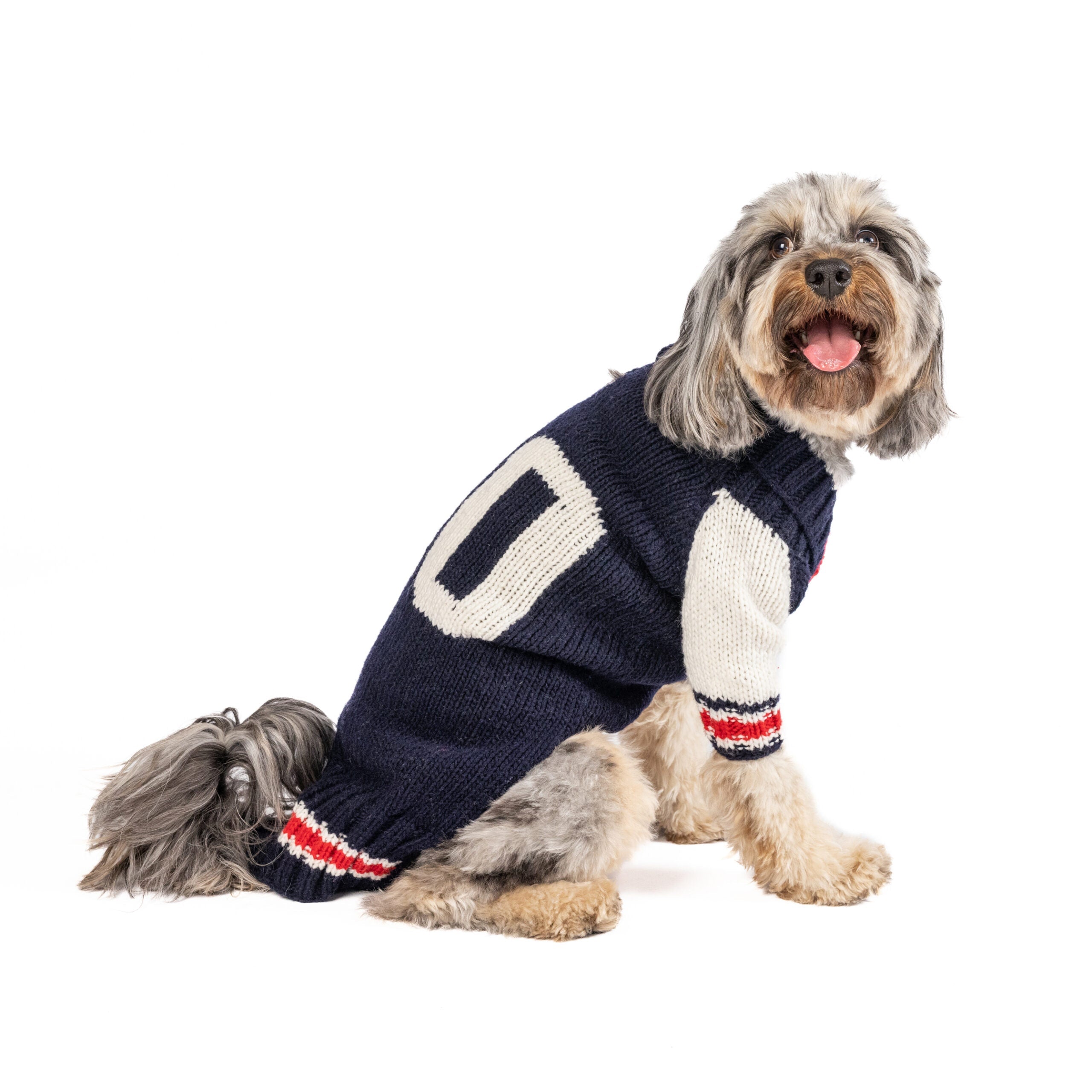 Chilly Dog Varsity Wool Dog Sweater