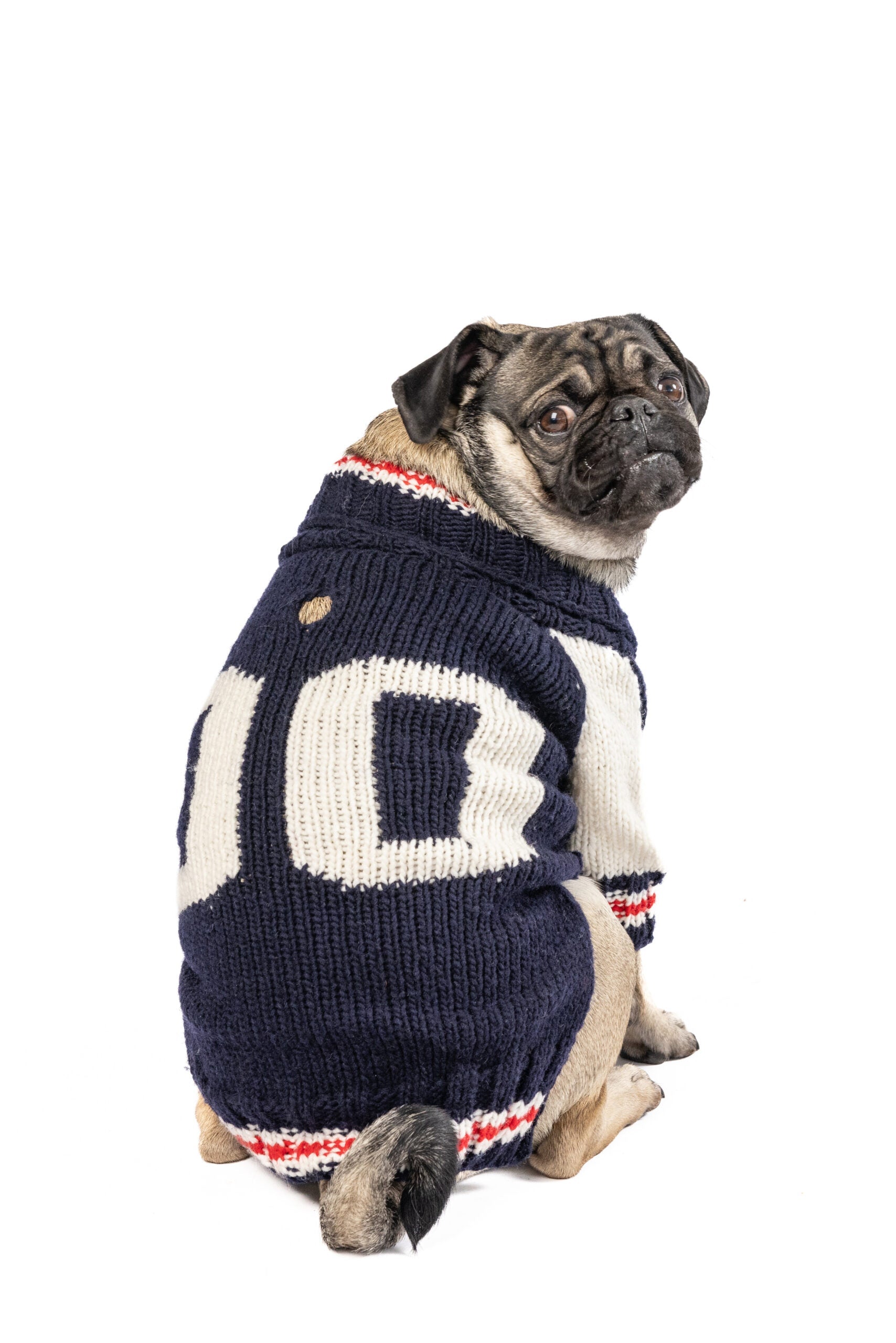 Chilly Dog Varsity Wool Dog Sweater