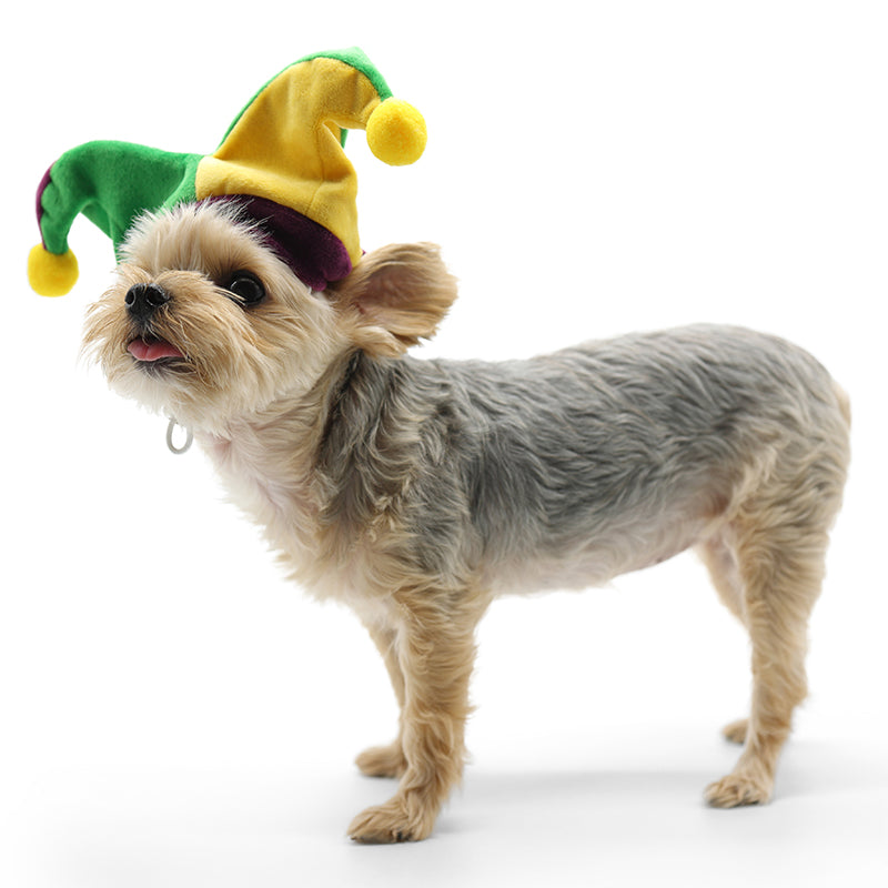 DOGO Joker Dog Costume Hat