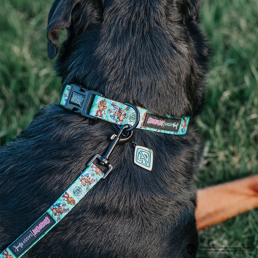 Dog Collar - Scooby-Doo™