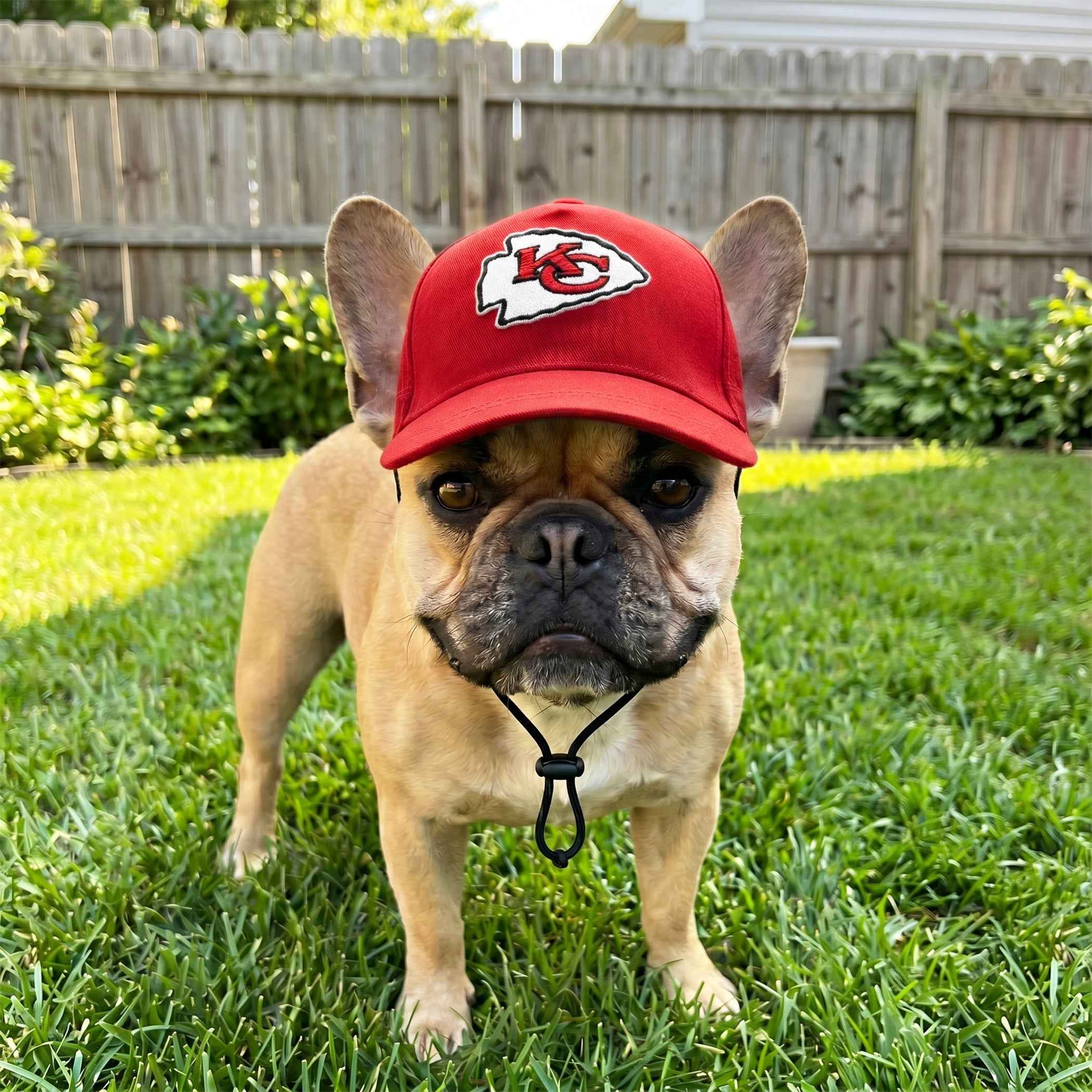 NFL Kansas City Chiefs Dog Hat