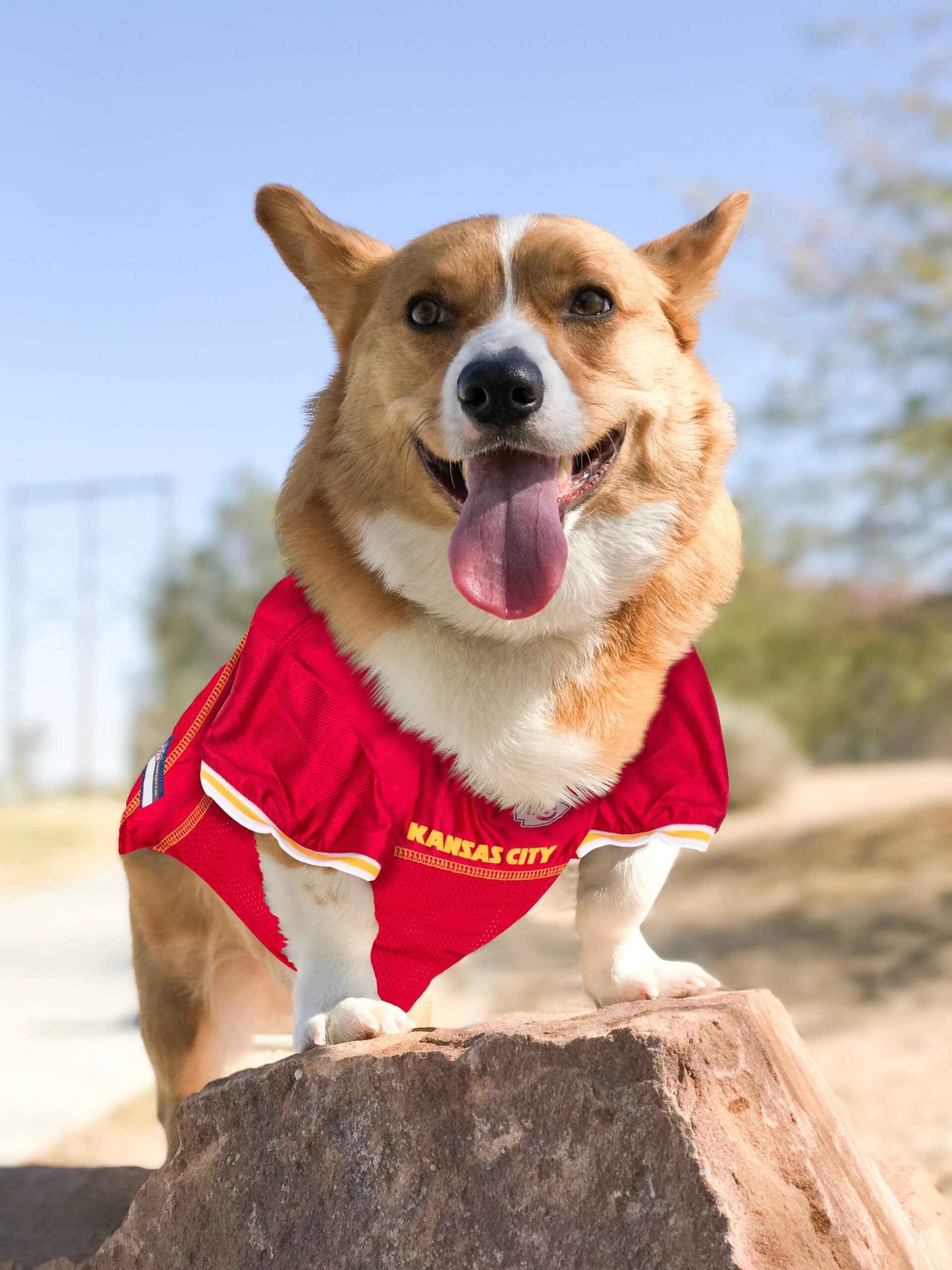 NFL Kansas City Chiefs Mesh Pet Jersey