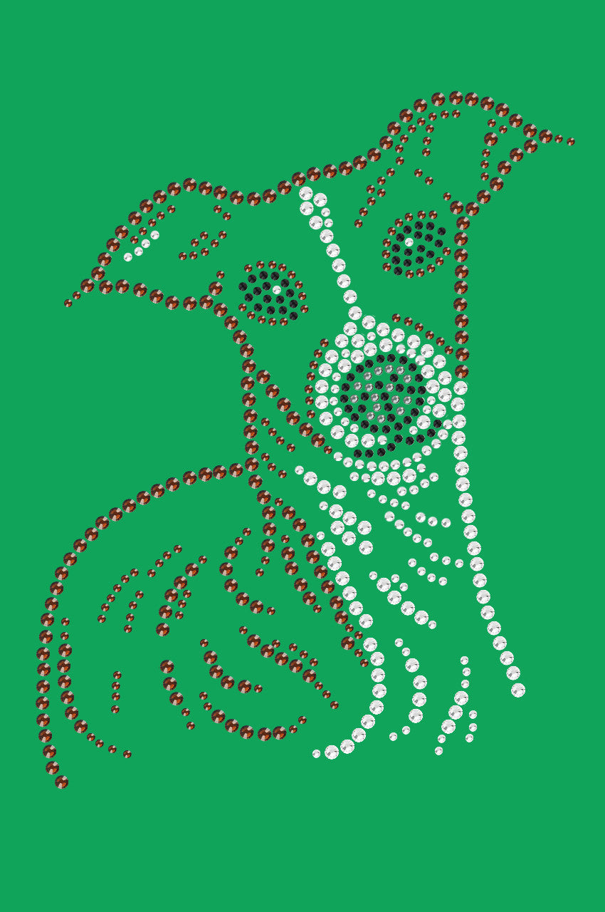 Italian Greyhound Face - bandana