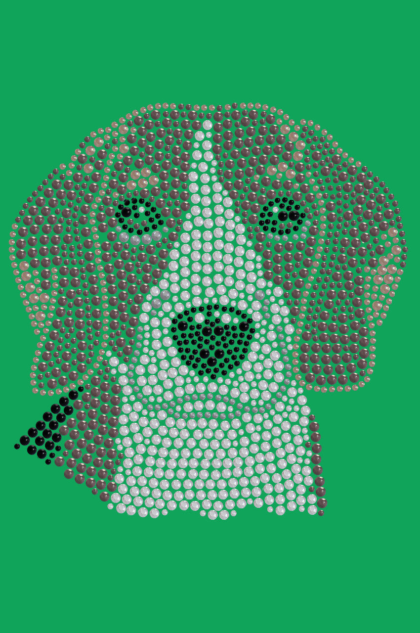 Beagle - bandana