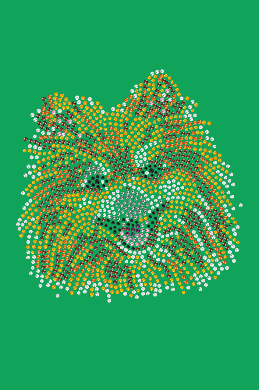 Pomeranian - bandana