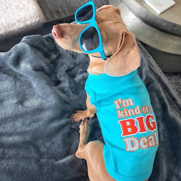 Parisian Pet Im Kind of a Big Deal Humorous Dog Shirt  Embroidered Graphic Pet T-Shirt for Dogs & Cats, Light Blue