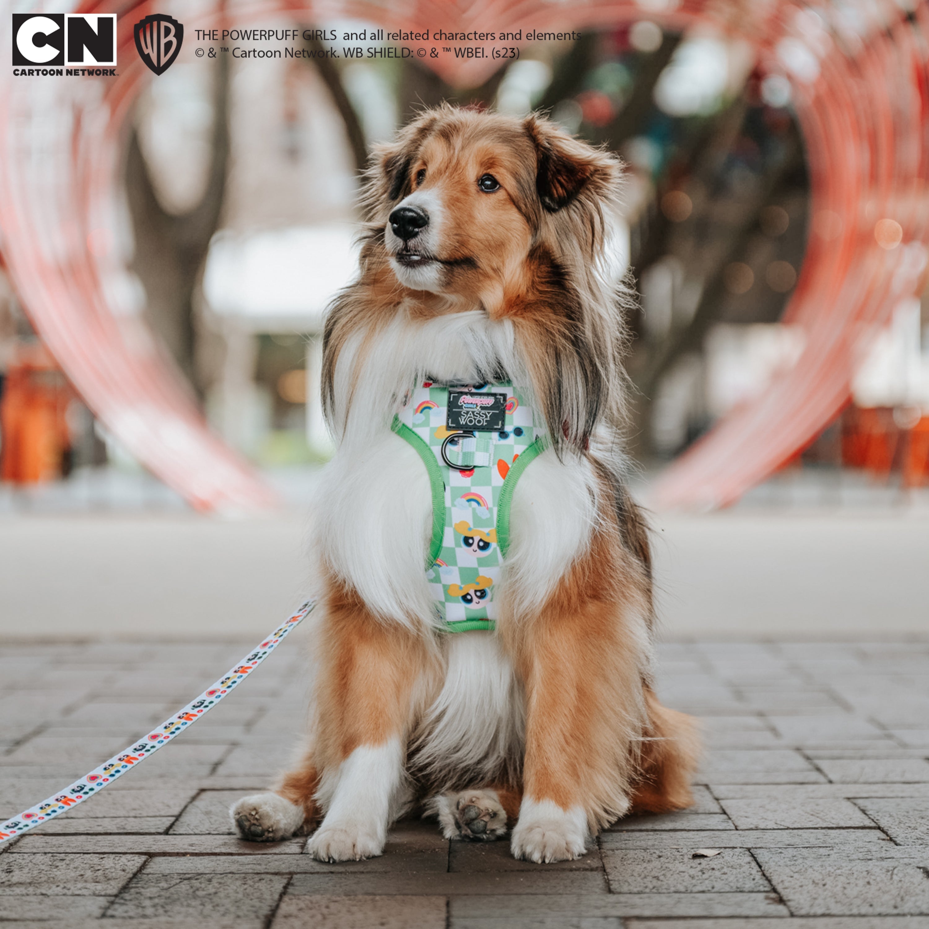 Dog Adjustable Harness - The Powerpuff Girls™ (Green)