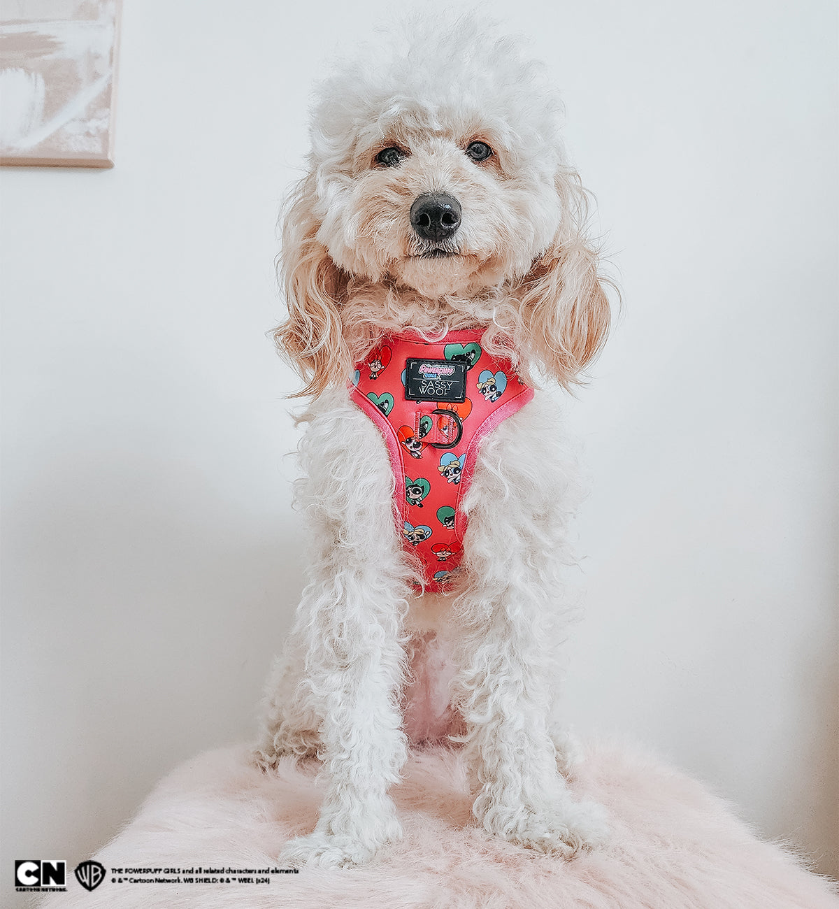 Dog Adjustable Harness - The Powerpuff Girls™ (Love)