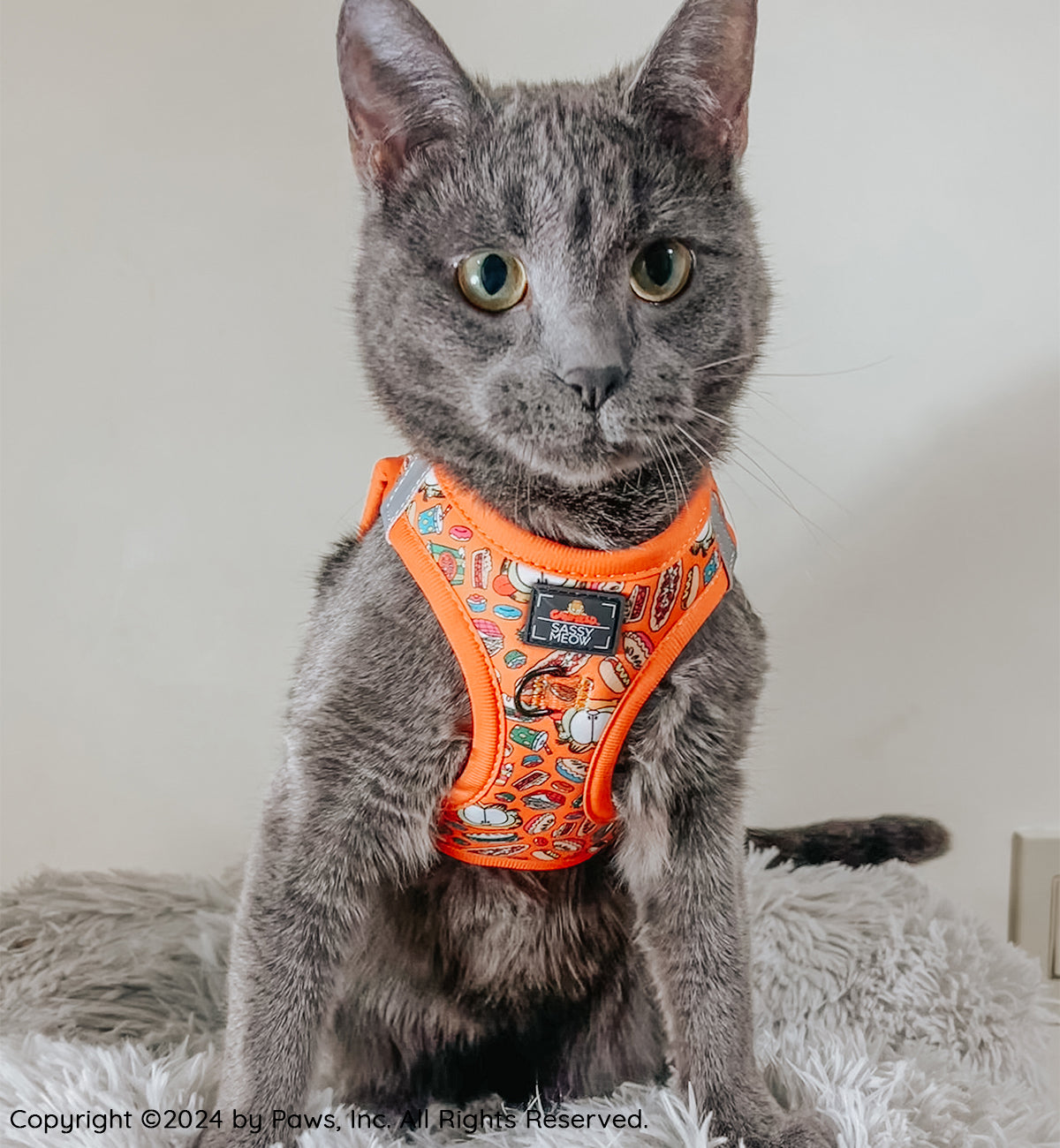 Cat Step-In Harness - Garfield™️