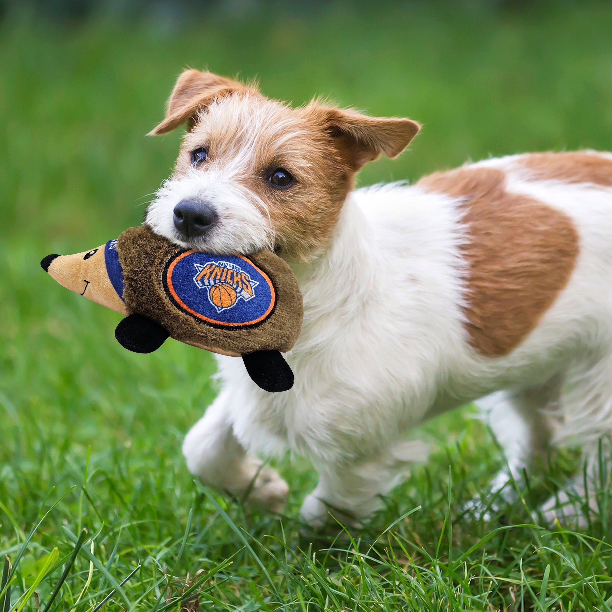 NEW YORK KNICKS PLUSH HEDGEHOG TOY