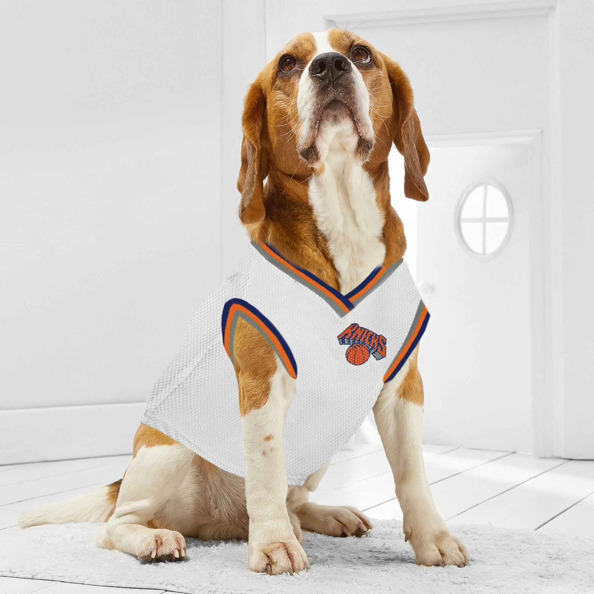 NBA New York Knicks Road Basketball Pet Jersey