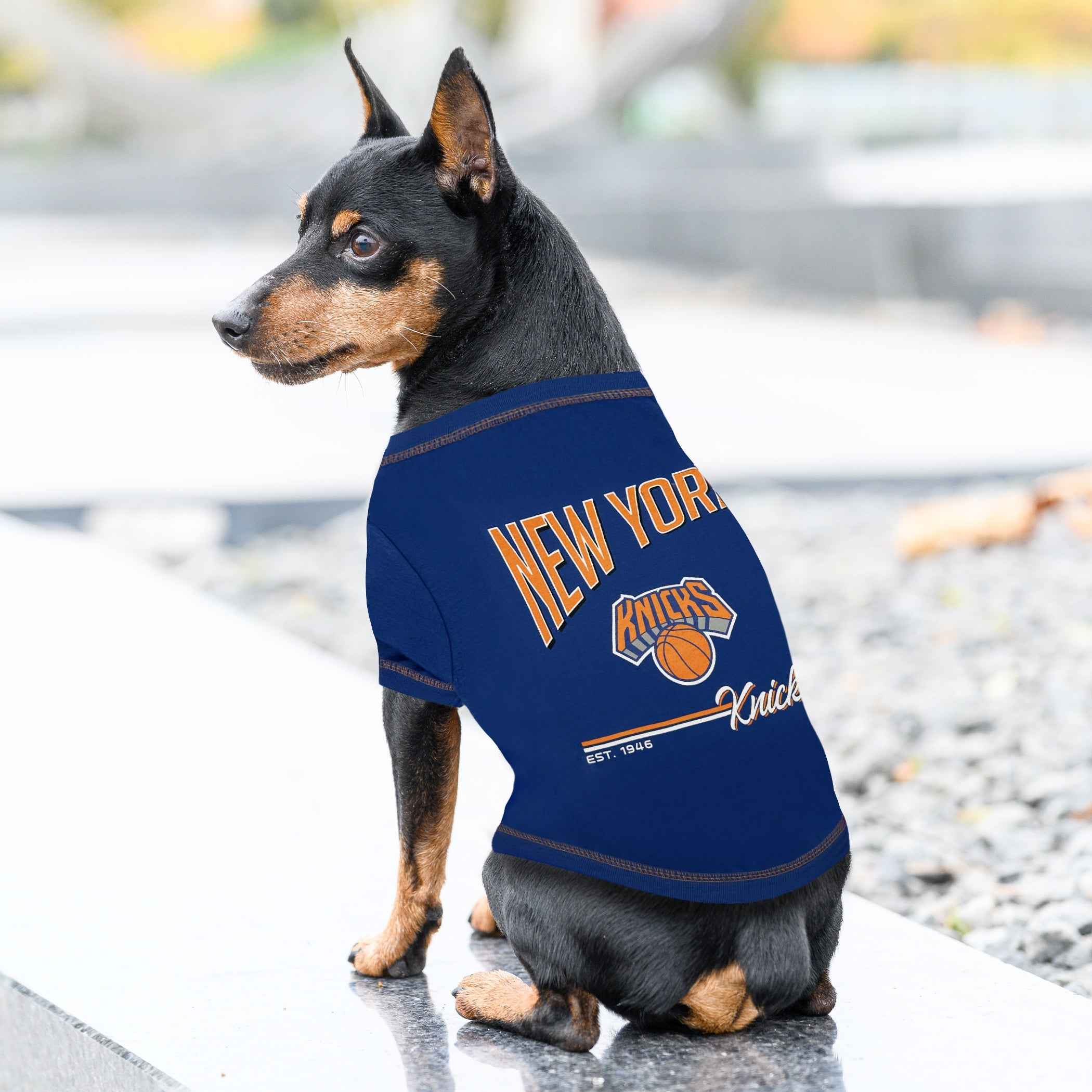 NBA New York Knicks Bold City Text Dog T-Shirt