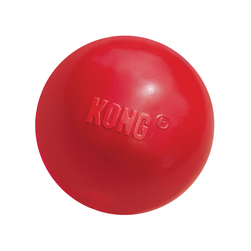 Kong Ball with Hole Small - HT Animal Supply