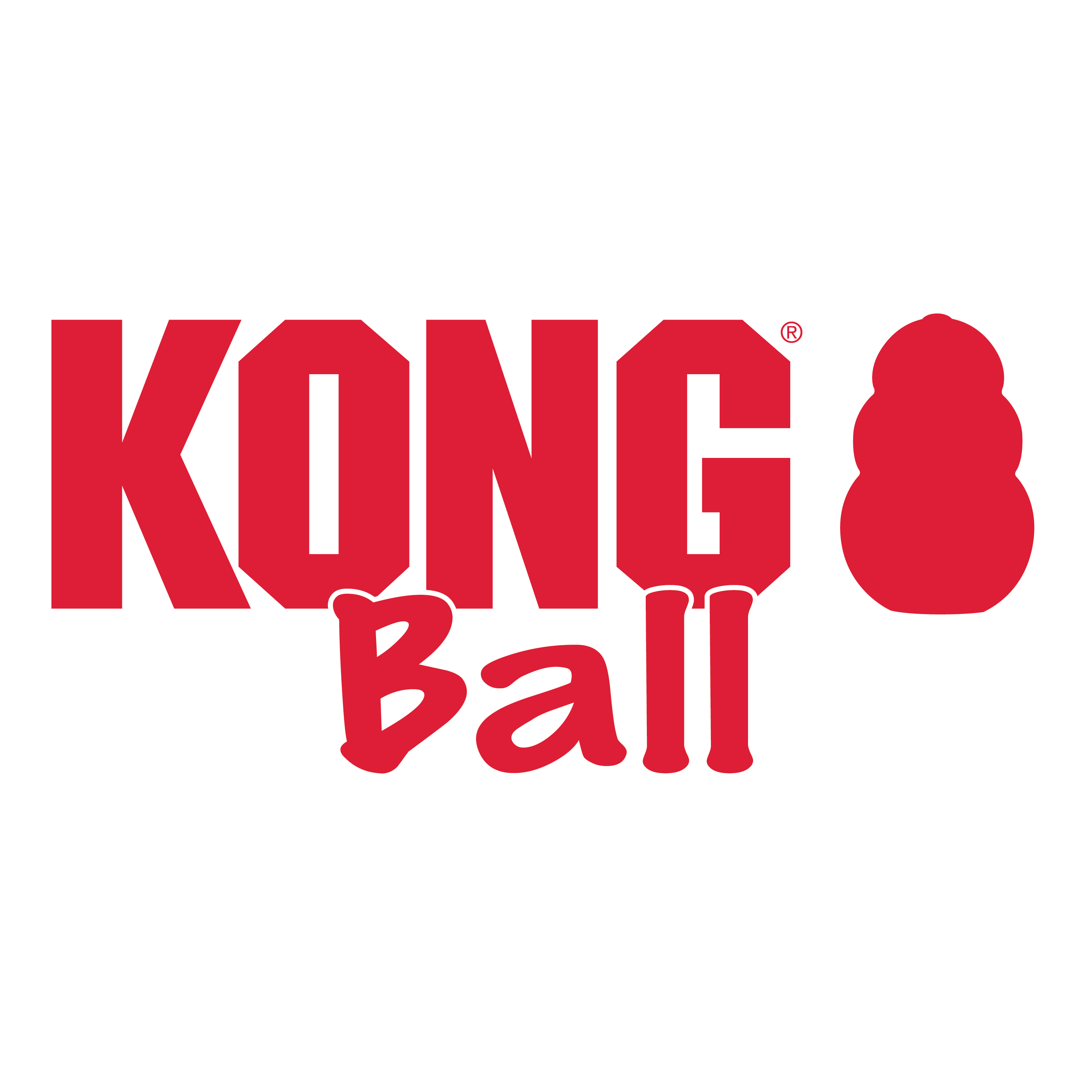 Kong Ball with Hole Small - HT Animal Supply